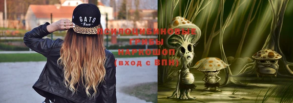 прущая мука Абаза