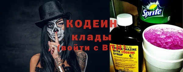 Альфа ПВП Няндома
