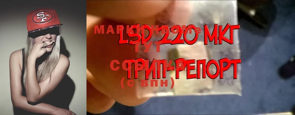 Альфа ПВП Няндома