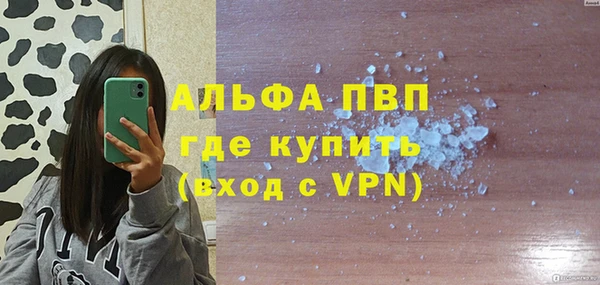 Альфа ПВП Няндома